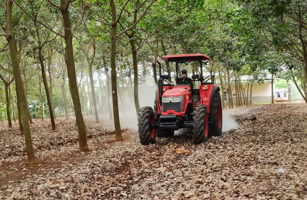 Zetor